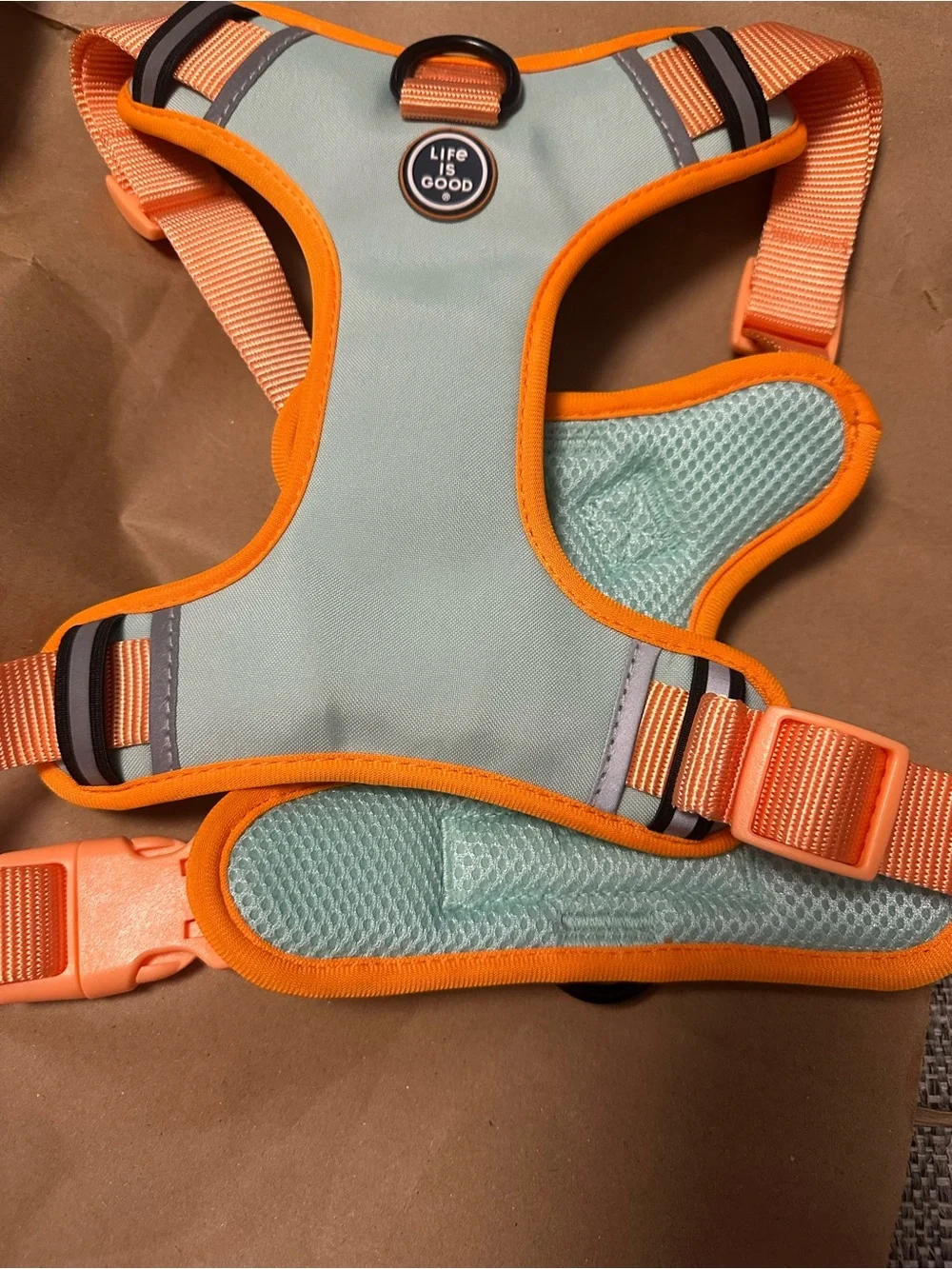 Life Is Good Kids Harness — Mint Green with Orange Trim